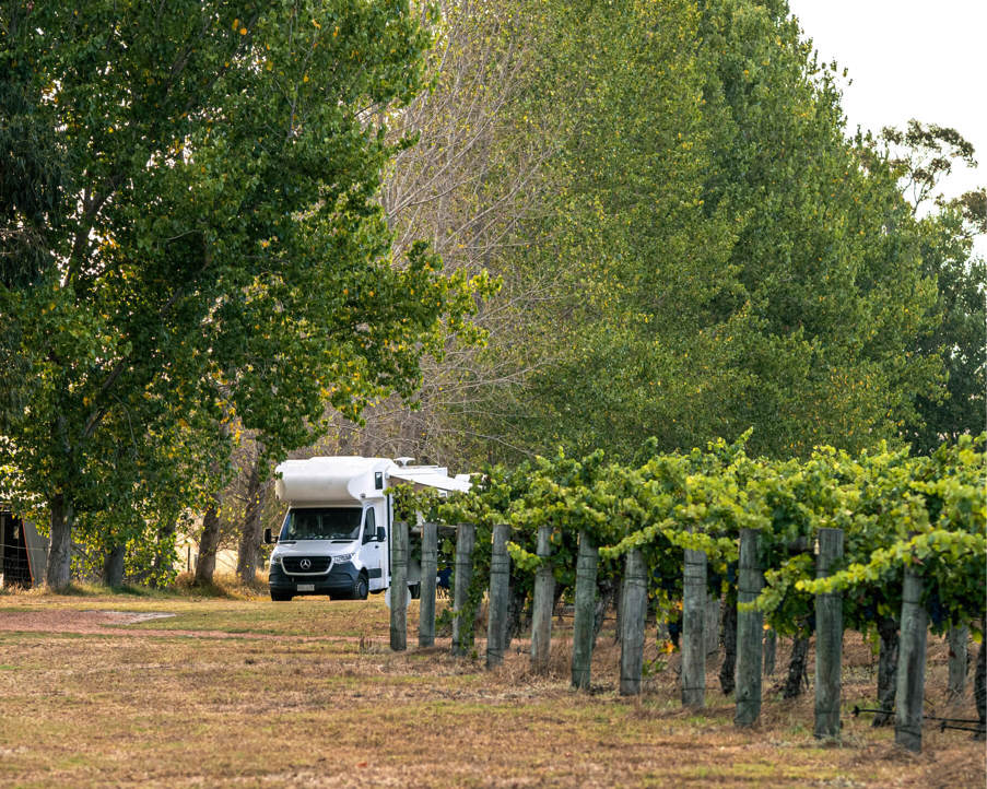 Jarvis Estate Winery & Camping