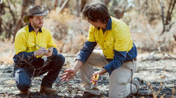 Australian bushfire season