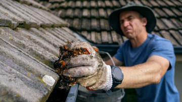 How to prepare for a bushfire