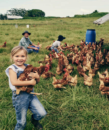 A little girl on a farm with chickens.