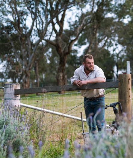 Bushfire history